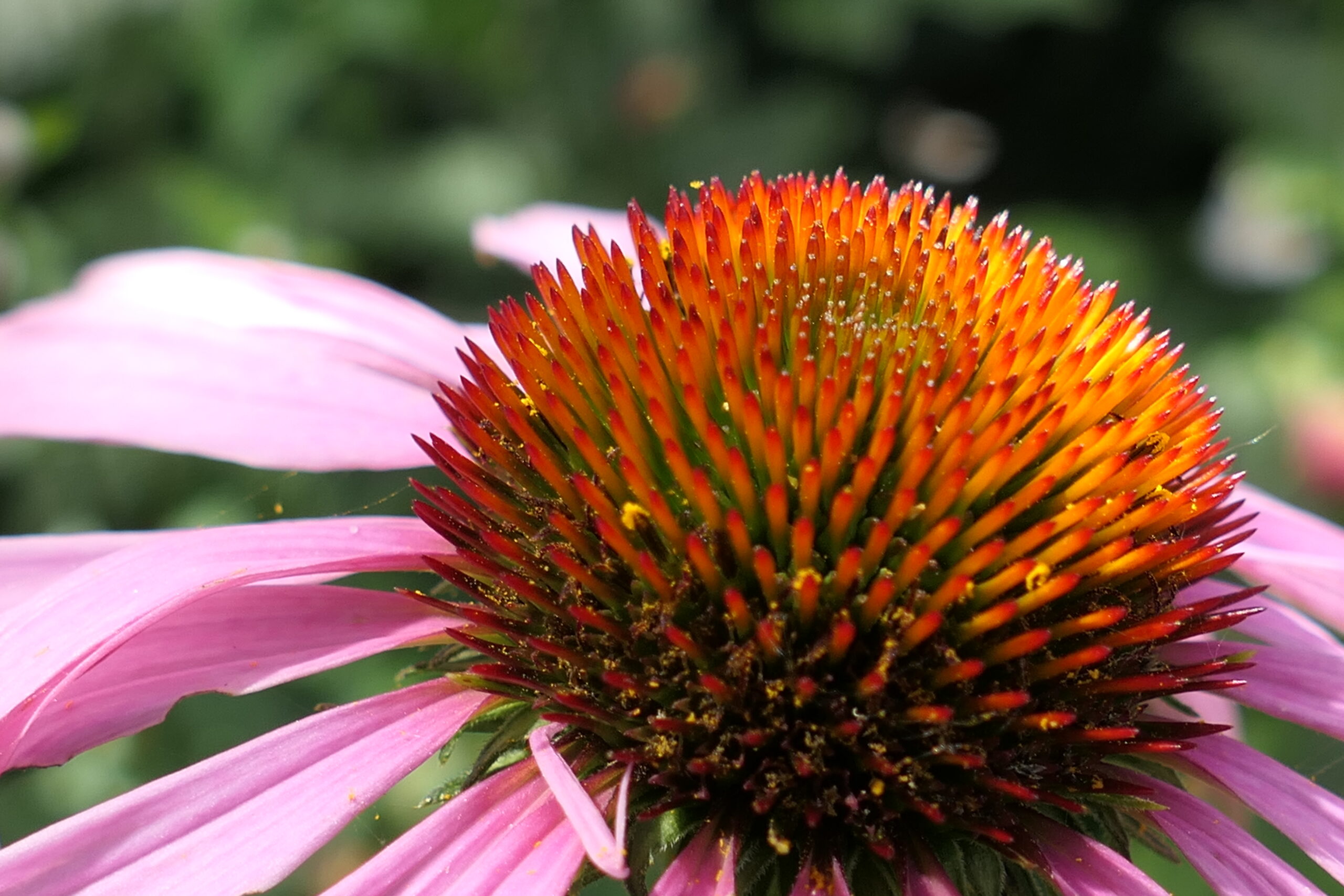 Waarom kan ik niet ontspannen